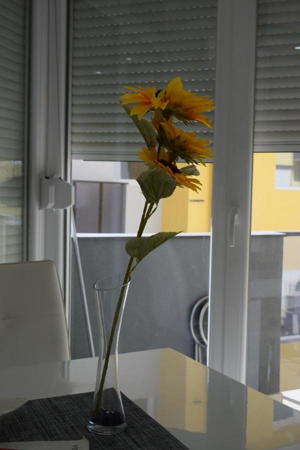 Apartmani K&V Veliko Gradište Exterior foto